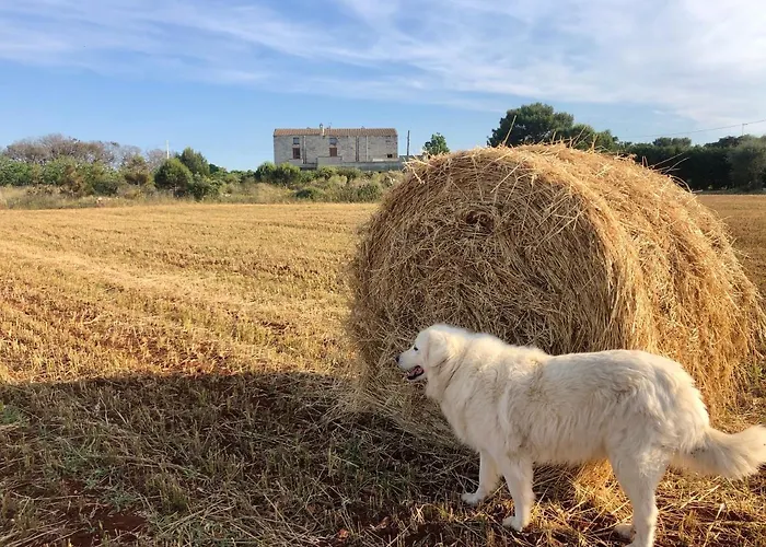 Agriturismo La Palascìa Masseria Agreste Otranto